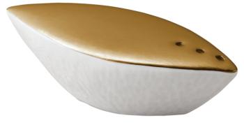 Salt shaker - Raynaud